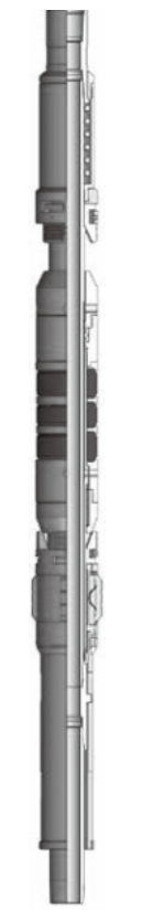CS-ASIX 机械可回收封隔器